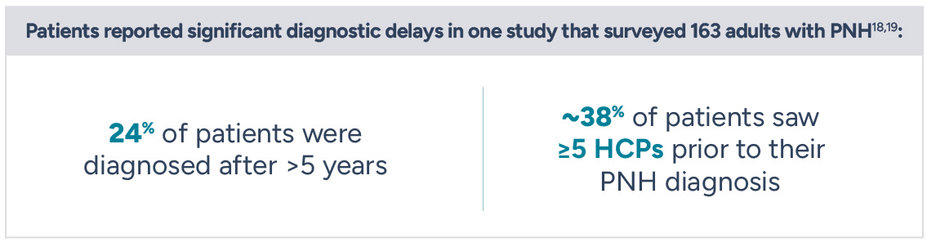 Patients reported significant diagnostic delays in one study that surveyed 163 adults with PNH