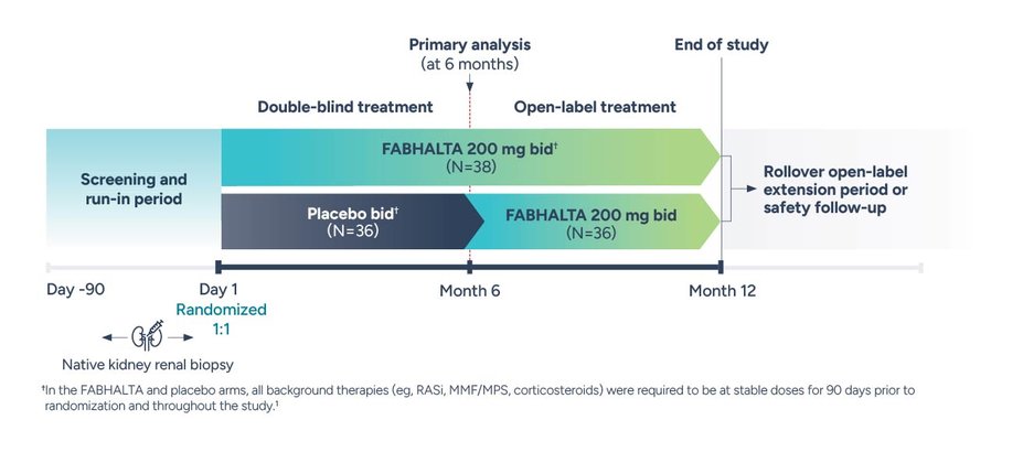 Study design of the phase 3 APPEAR-C3G clinical trial.