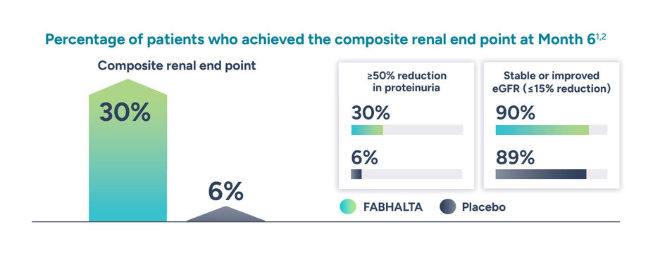 Percentage of patients who achieved the composite renal end point at Month 6.