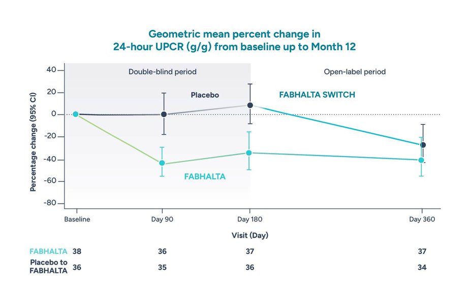 Geometric mean percent change in 24-hour UPCR (g/g) from baseline up to Month 12.