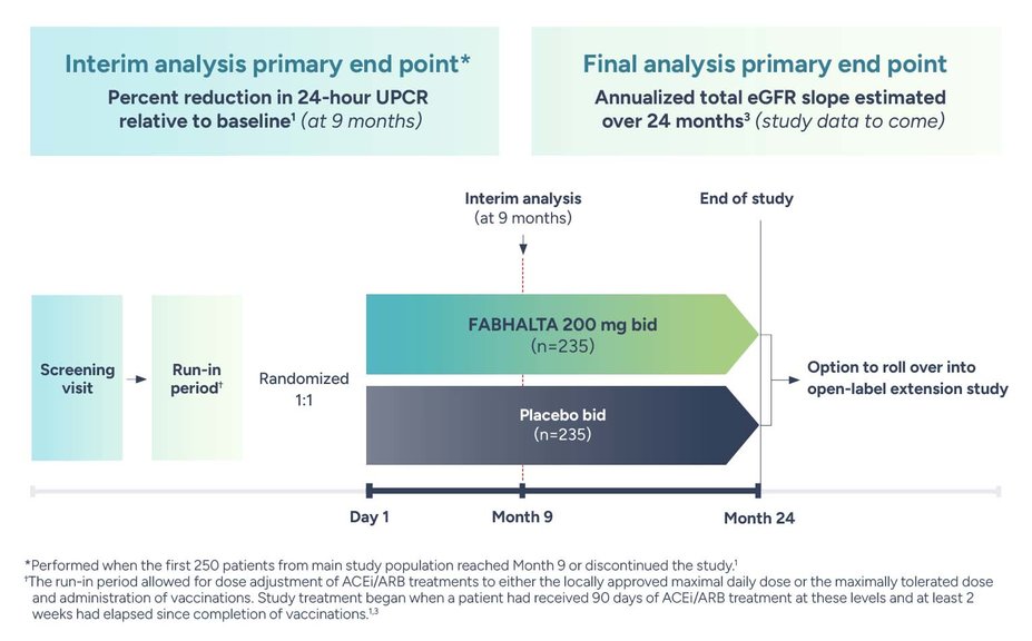 Image showing the phase 3 APPLAUSE clinical trial design. Interim analysis primary end point. Percent reduction in 24-hour UPCR relative to baseline (at 9 months). Final analysis primary end point. Annualized total eGFR slope estimated over 24 months (study data to come).