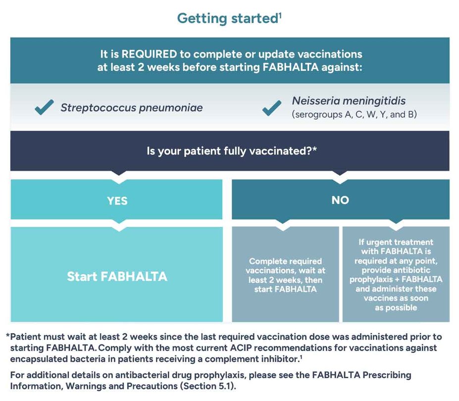 It is required to complete or update vaccinations at least 2 weeks before starting Fabhalta against Streptococcus pneumoniae and Neisseria meningitidis. Complete required vaccinations, wait at least 2 weeks, then start Fabhalta. If urgent treatment with Fabhalta is required at any point, provide antibiotic prophylaxis + Fabhalta and administer these vaccines as soon as possible. Patient must wait at least 2 weeks since the last required vaccination dose was administered prior to starting Fabhalta.