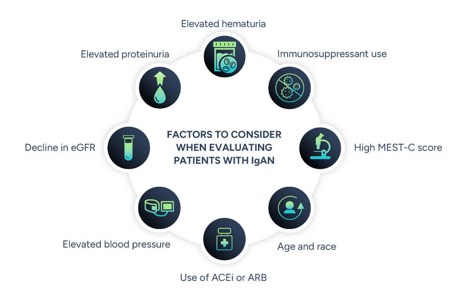 The following are factors to consider when evaluating patients with IgAN: elevated hematuria, immunosuppression use, high MEST-C score, age and race, use of ACEi or ARB, elevated blood pressure, decline in eGFR, and elevated proteinuria.