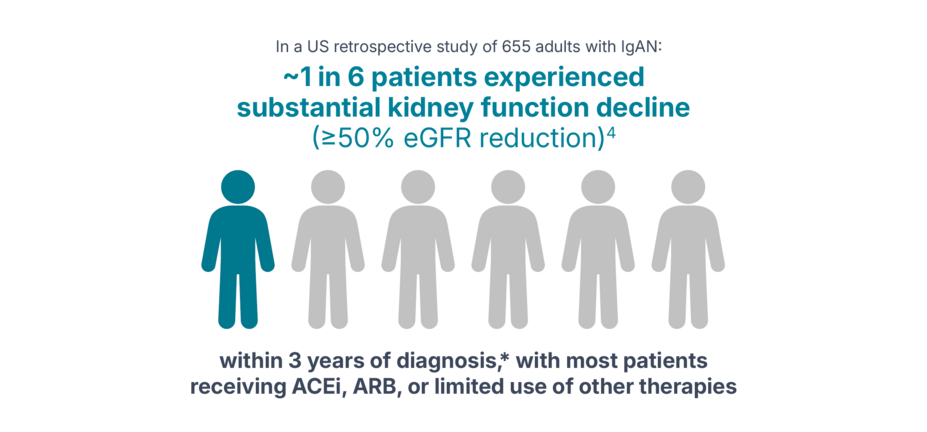 Study graphic indicating in a US retrospective study of 655 adults with IgAN about 1 in 6 patients experienced substantial kidney function decline (greater than or equal to 50% eFDR reduction) within 3 years of diagnosis, with most patients receiving ACEI, ARB, or limited use of other therapies.