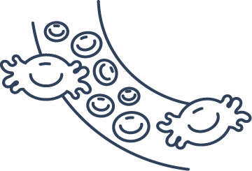 Blood vessel icon