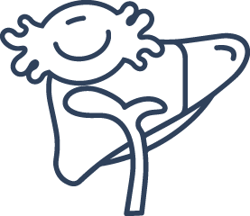 Liver icon